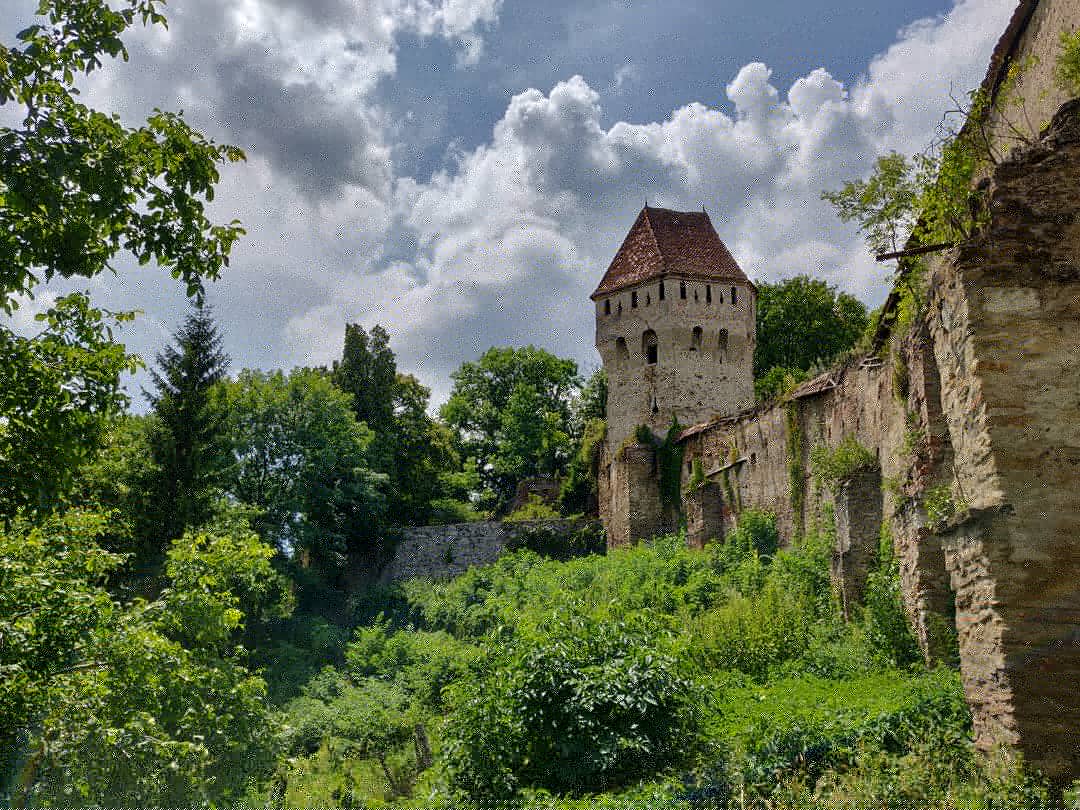 A stone tower with a red roof rises above ancient, ivy-covered walls and lush green vegetation, under a partly cloudy sky. Trees surround the structure, giving it a secluded, historic appearance.