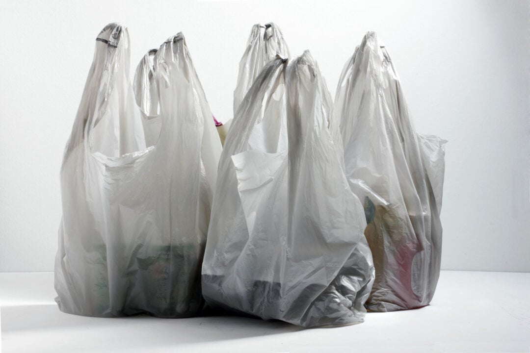 Five translucent plastic grocery bags filled with various items are standing upright against a plain white background. The contents inside the bags are partially visible but indistinguishable.