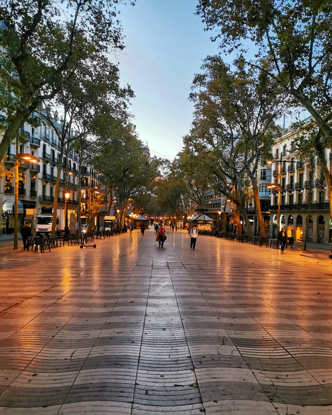 A wide pedestrian street lined with tall trees and historic buildings at dusk, with a few people walking and soft streetlights illuminating the scene.