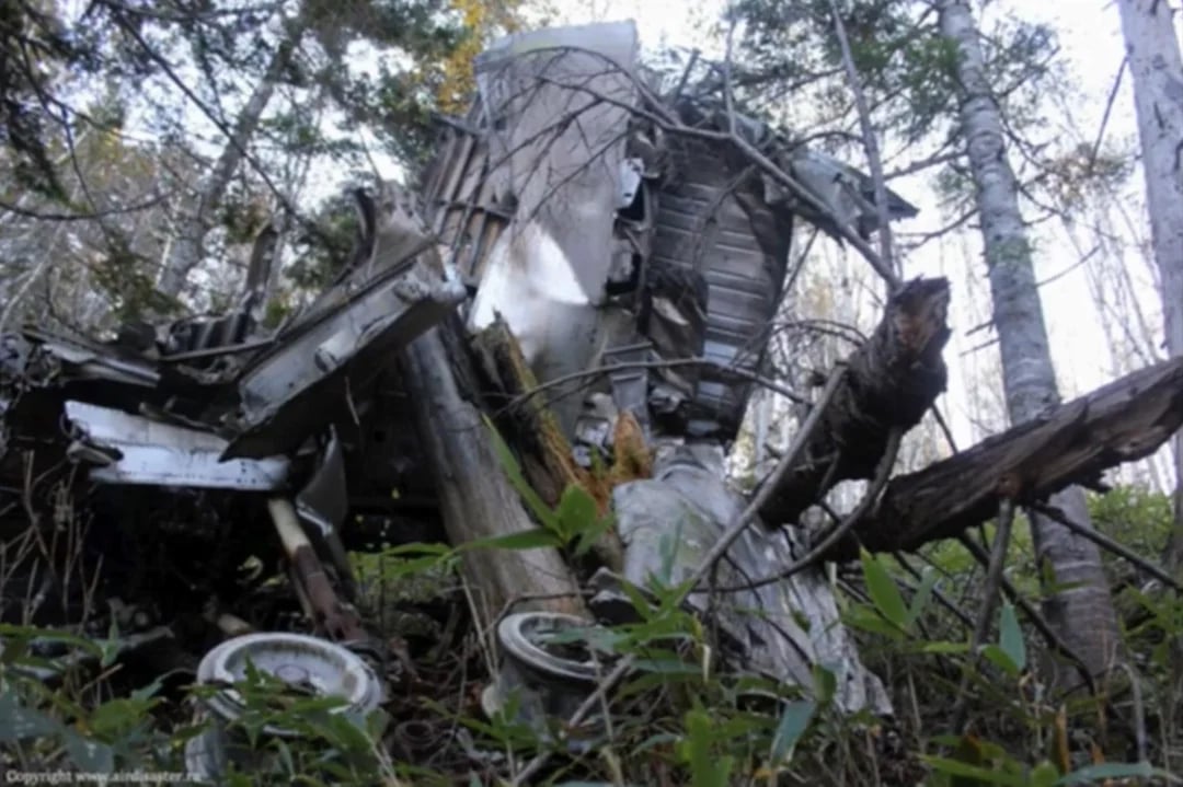 A crumpled airplane wreckage is entangled in tree branches and overgrown vegetation in a dense forest, with broken metal parts and wheels visible among greenery and tree trunks.
