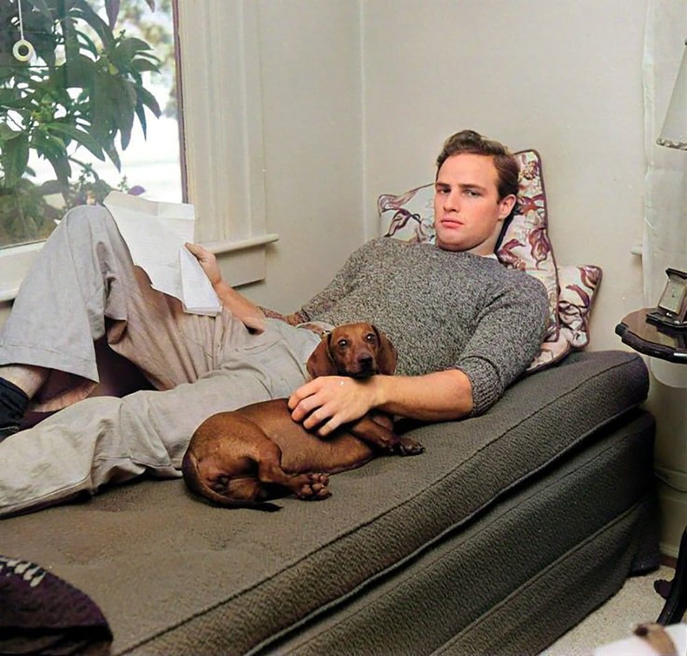 A man in a gray sweater lounges on a daybed, holding a paper, with a brown dachshund lying next to him. A window and a leafy plant are visible in the background.