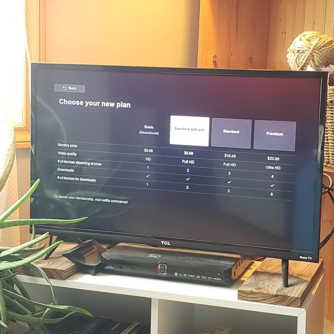 A TV screen displays a streaming service plan selection menu with four options: Basic (Discontinued), Standard with ads, Standard, and Premium. The TV sits on a stand beside a window with plants and yarn nearby.