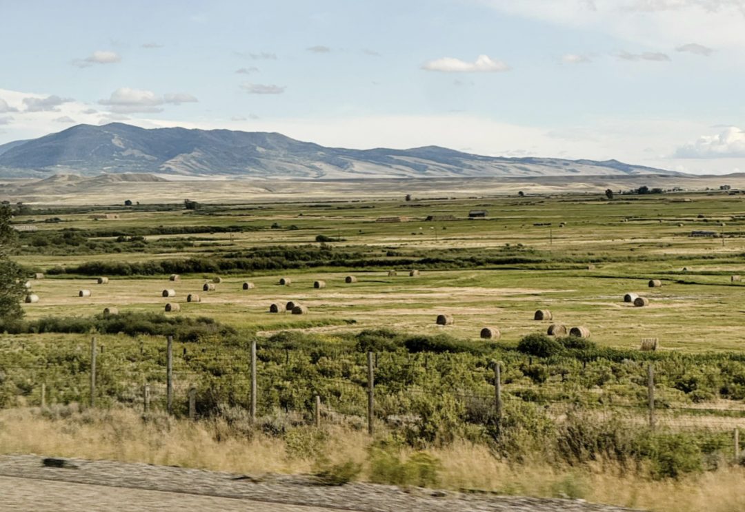 A scenic rural landscape with green fields dotted with round hay bales, a wooden fence in the foreground, and mountains in the distance under a partly cloudy sky.