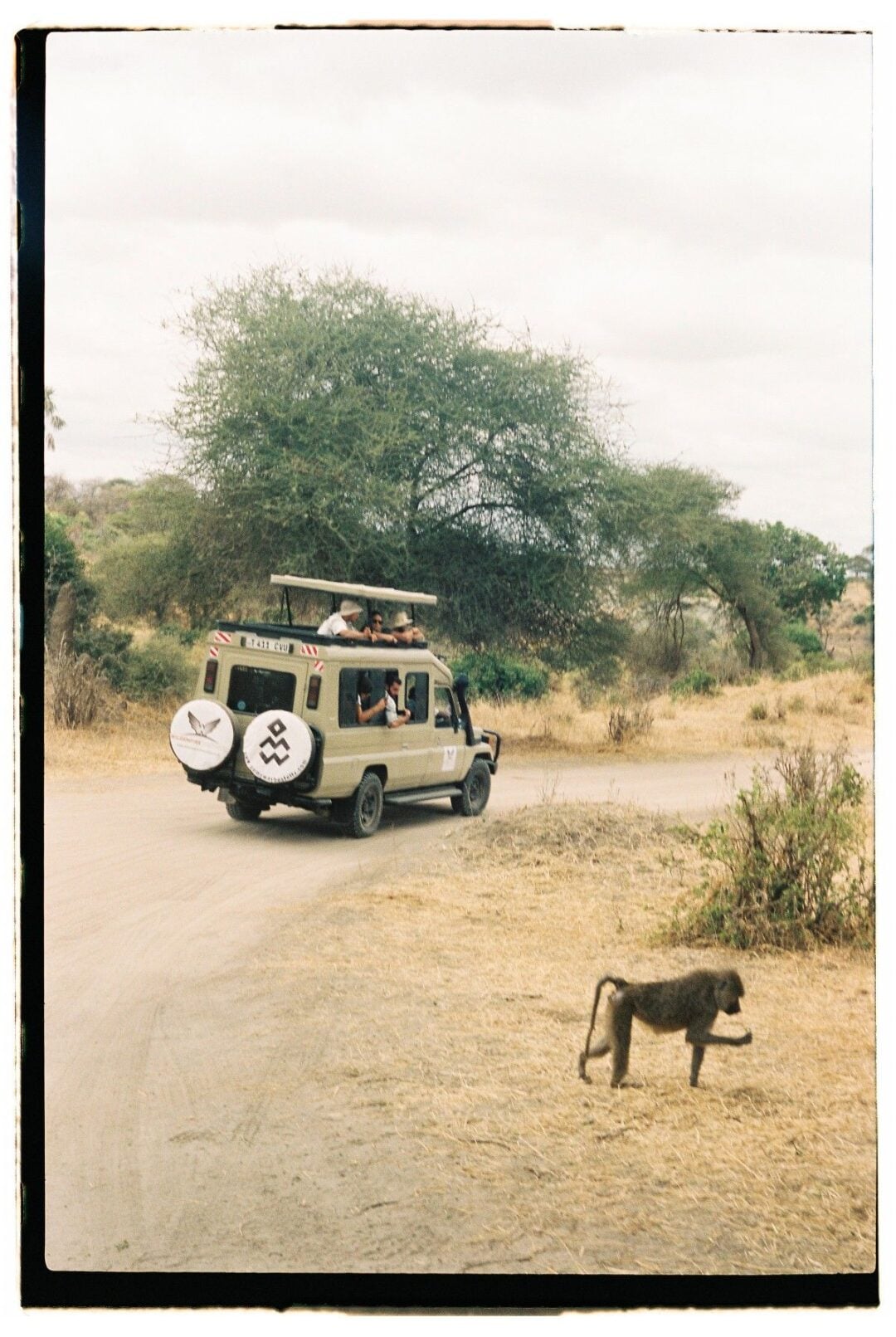 A safari vehicle with tourists inside drives on a dirt road through dry grassland, while a baboon walks across the road in the foreground. Large trees and cloudy skies are visible in the background.