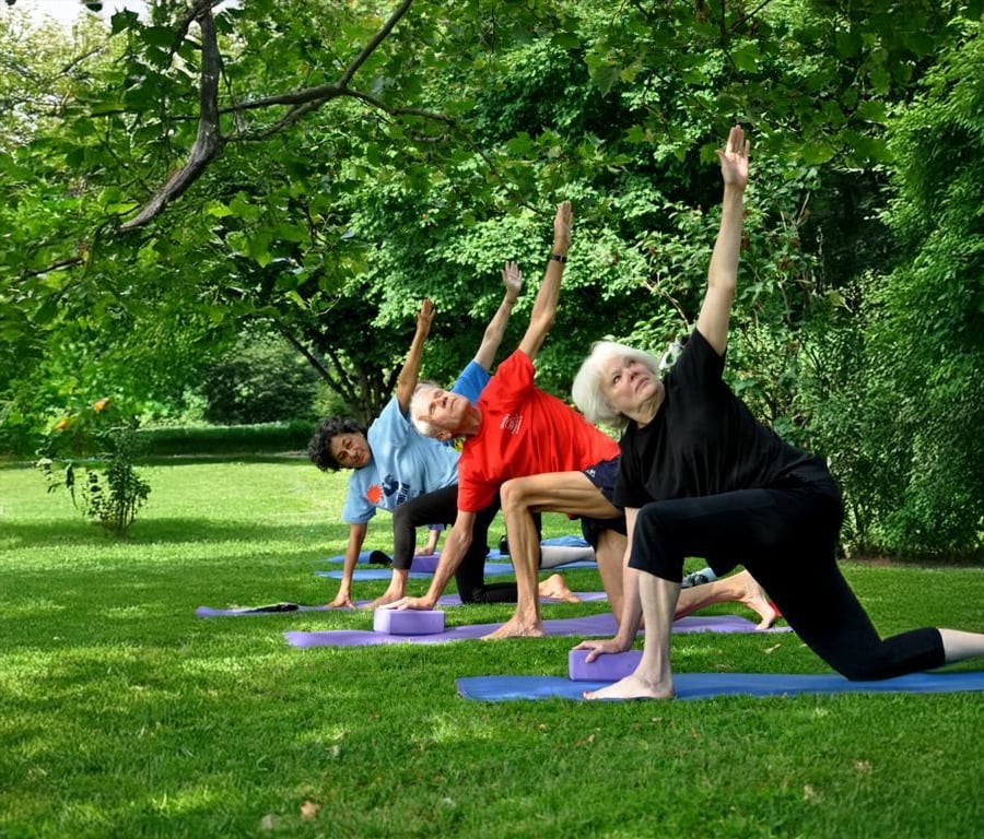 Four people practice yoga on mats outdoors in a grassy, green park, each in a side-angle pose with one arm extended upward, surrounded by lush trees and sunlight.