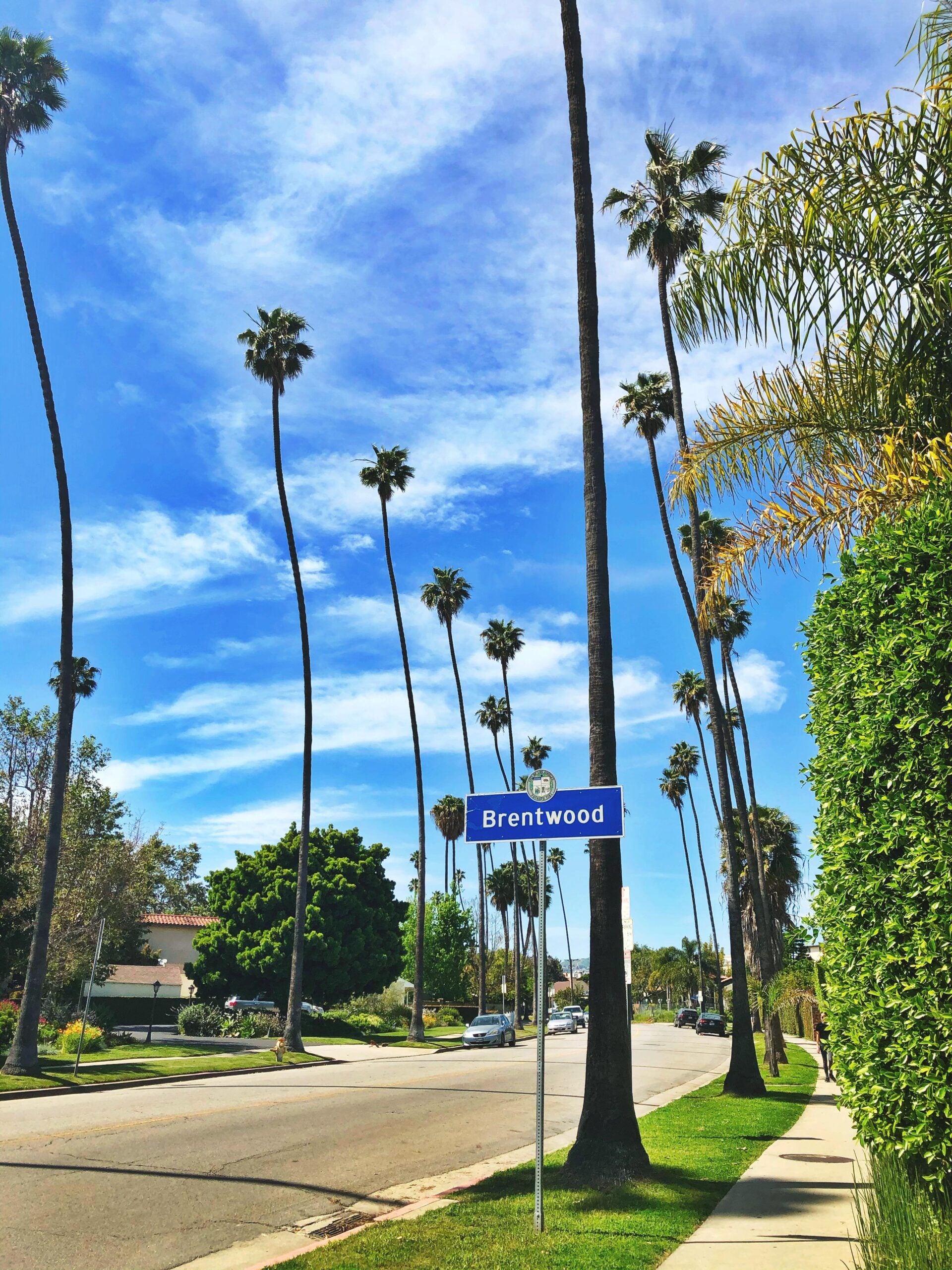 A sunny street in Brentwood lined with tall palm trees, blue sky with scattered clouds above, and a blue street sign reading "Brentwood" in the foreground.