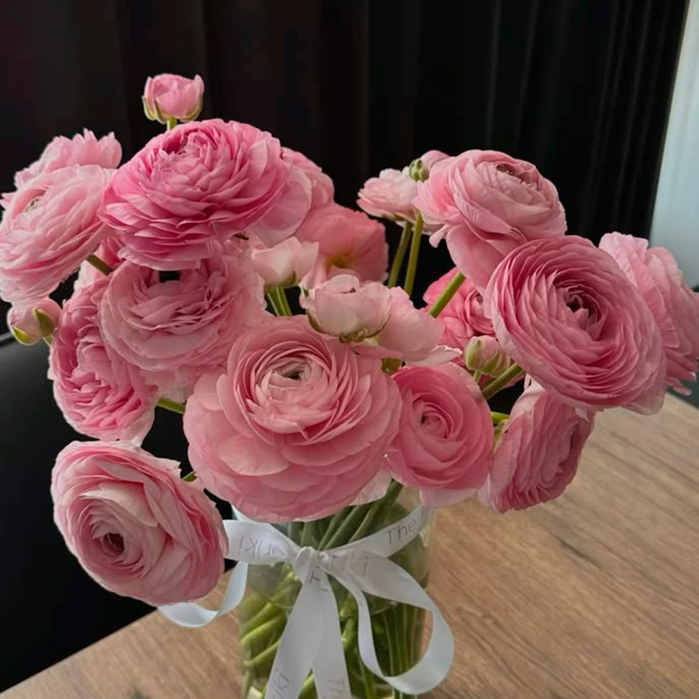A clear glass vase filled with lush, pink ranunculus flowers sits on a wooden table; a white ribbon is tied around the vase, and a dark curtain hangs in the background.