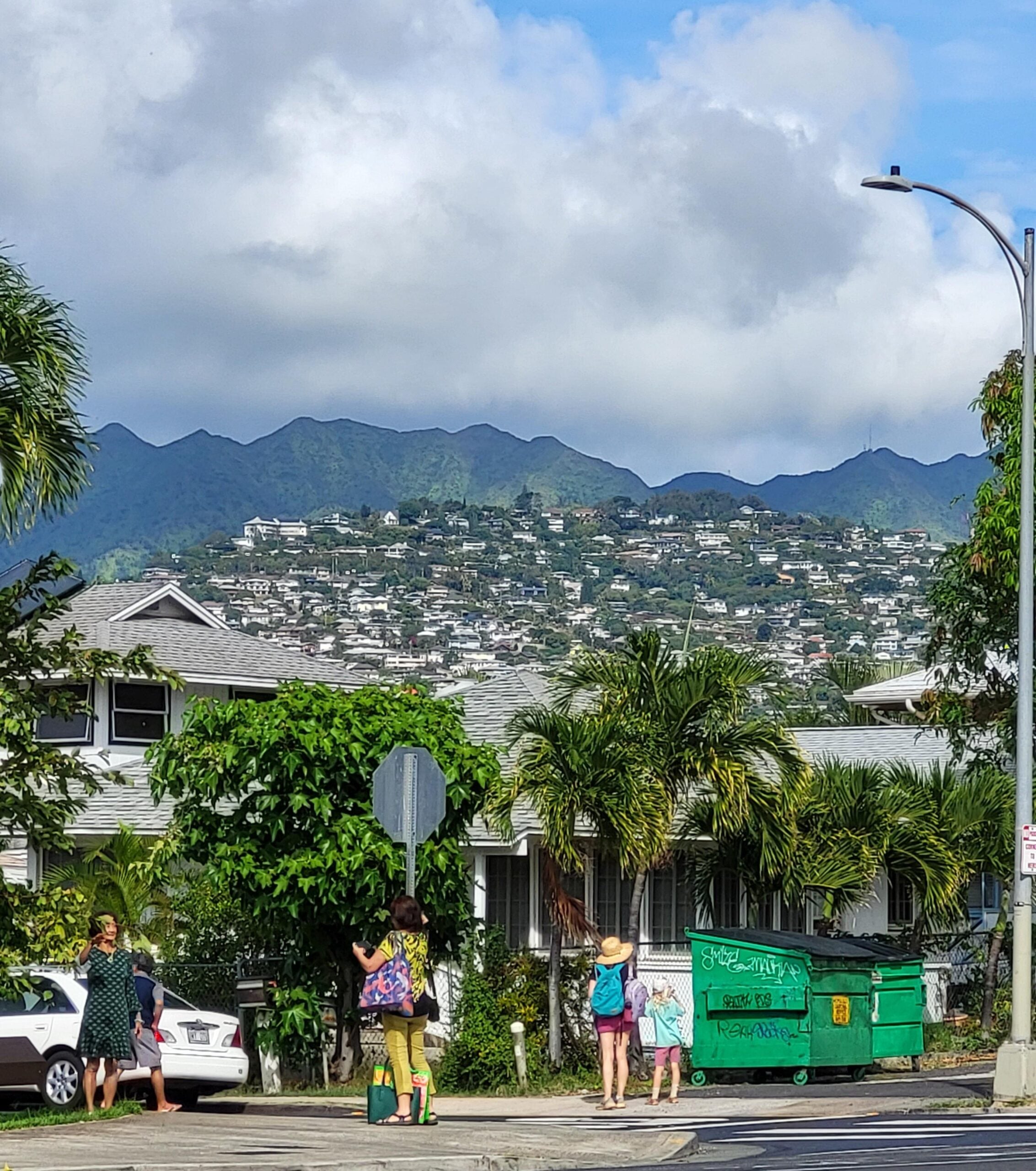 People stand and talk near a green dumpster on a sunny street lined with palm trees, with houses in the foreground and lush, green mountains and a cloudy blue sky in the background.