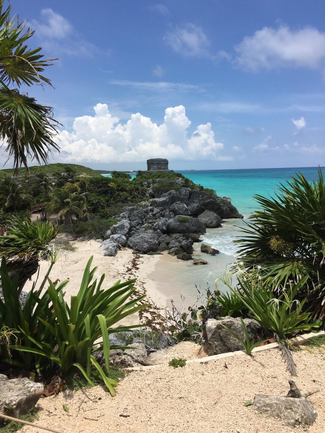 A view of the Tulum ruins on a rocky cliff overlooking a white sandy beach and turquoise ocean, with palm trees and tropical plants in the foreground under a partly cloudy sky.