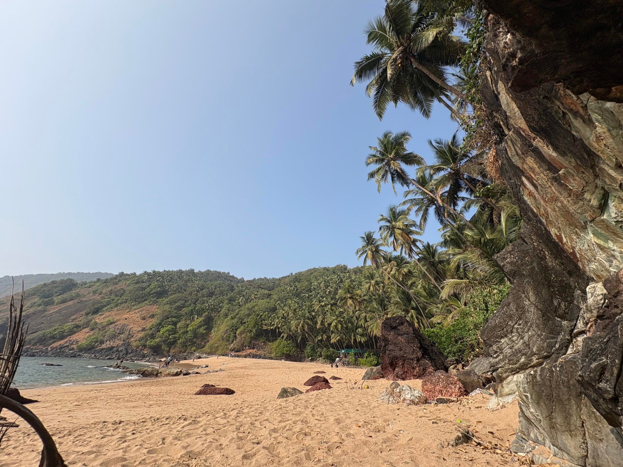 A sandy beach with scattered rocks and seaweed, backed by dense green palm trees and hills under a clear blue sky; a rocky outcrop is visible on the right side of the image.
