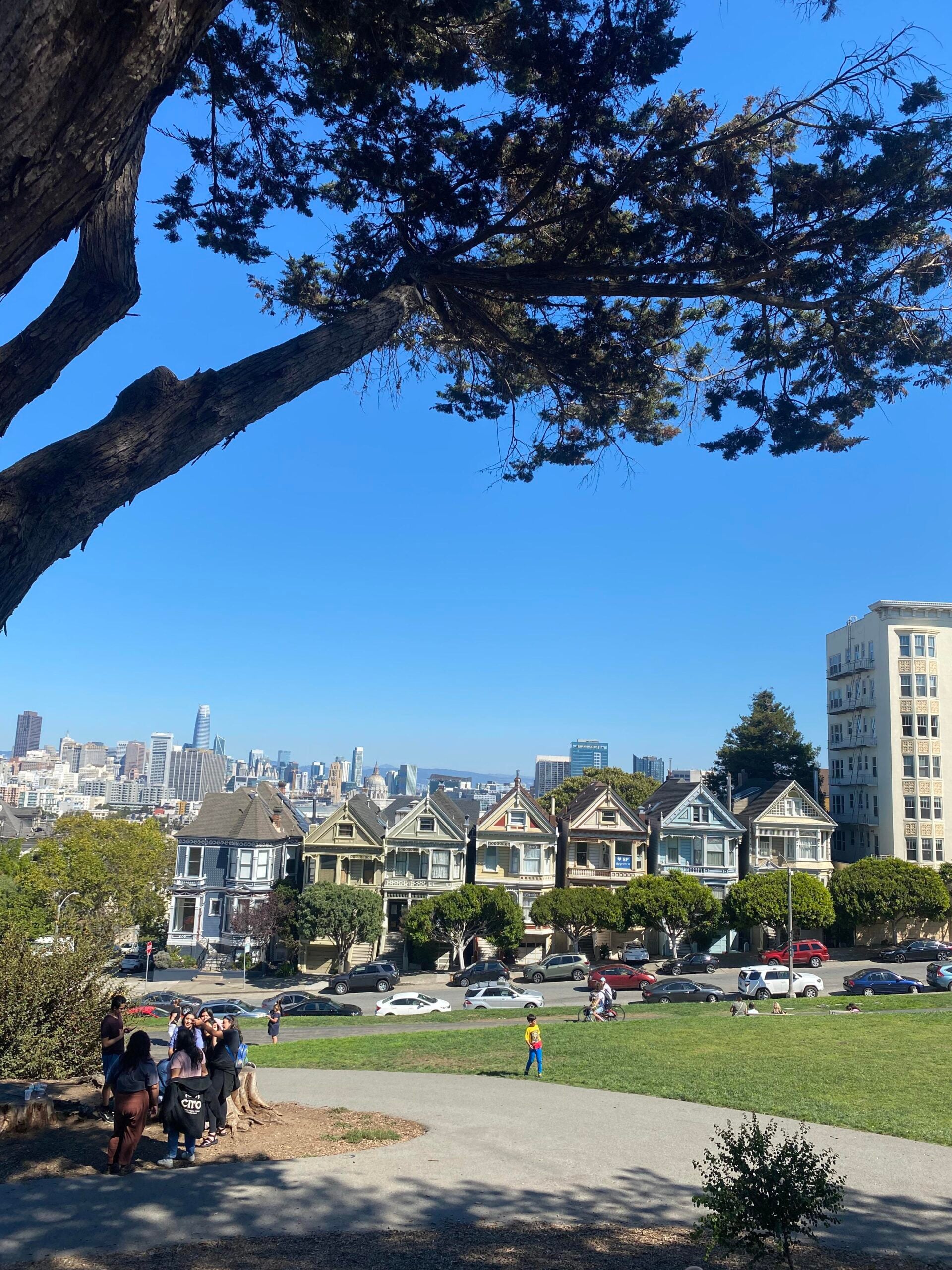 A large tree frames a view of the Painted Ladies houses in San Francisco, with people walking and relaxing on the grass in a sunny park. The city skyline is visible in the distance under a clear blue sky.