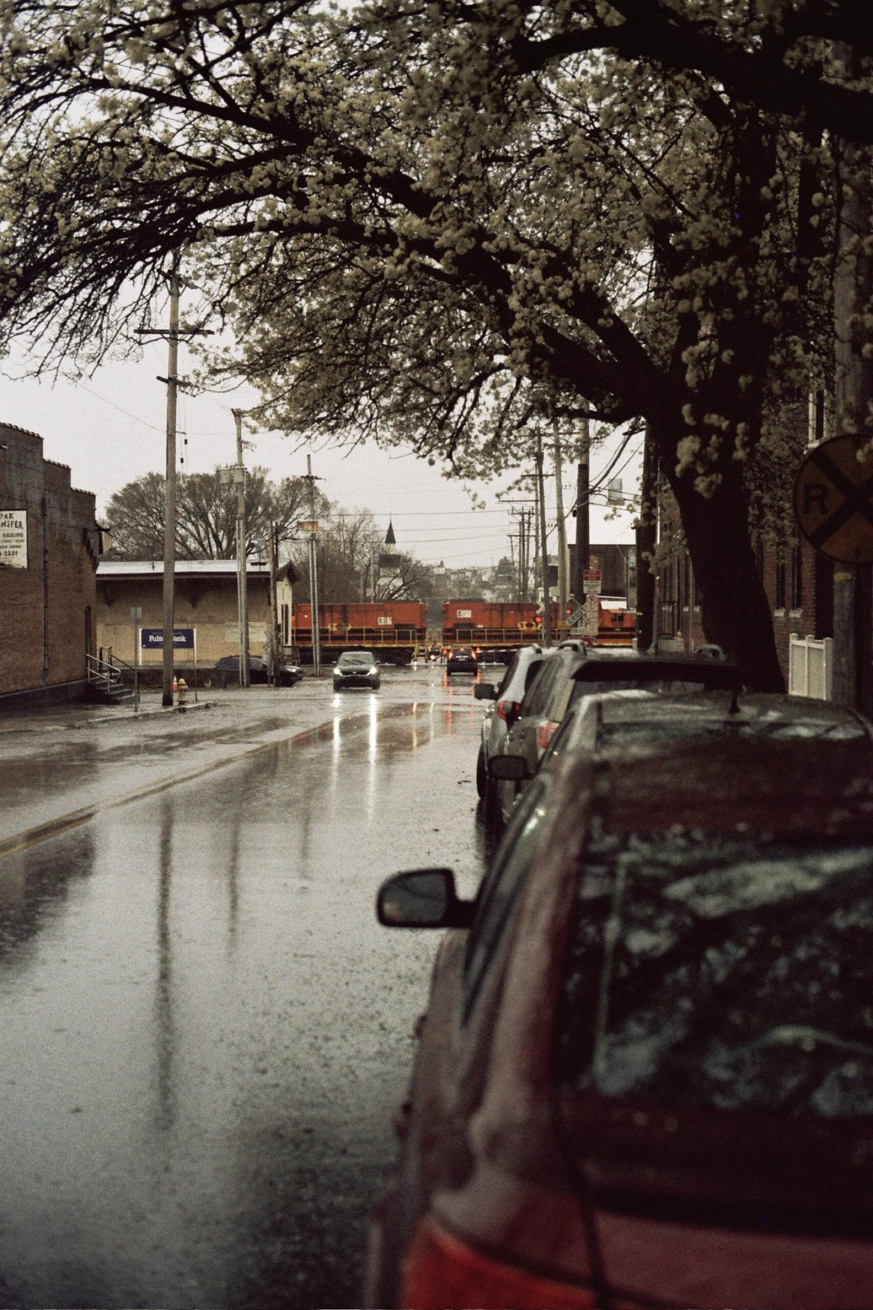 A rainy street scene with parked cars, wet pavement, and blossoming trees. In the distance, a train passes through a railroad crossing, blocking the road. A few buildings and utility poles line the street.