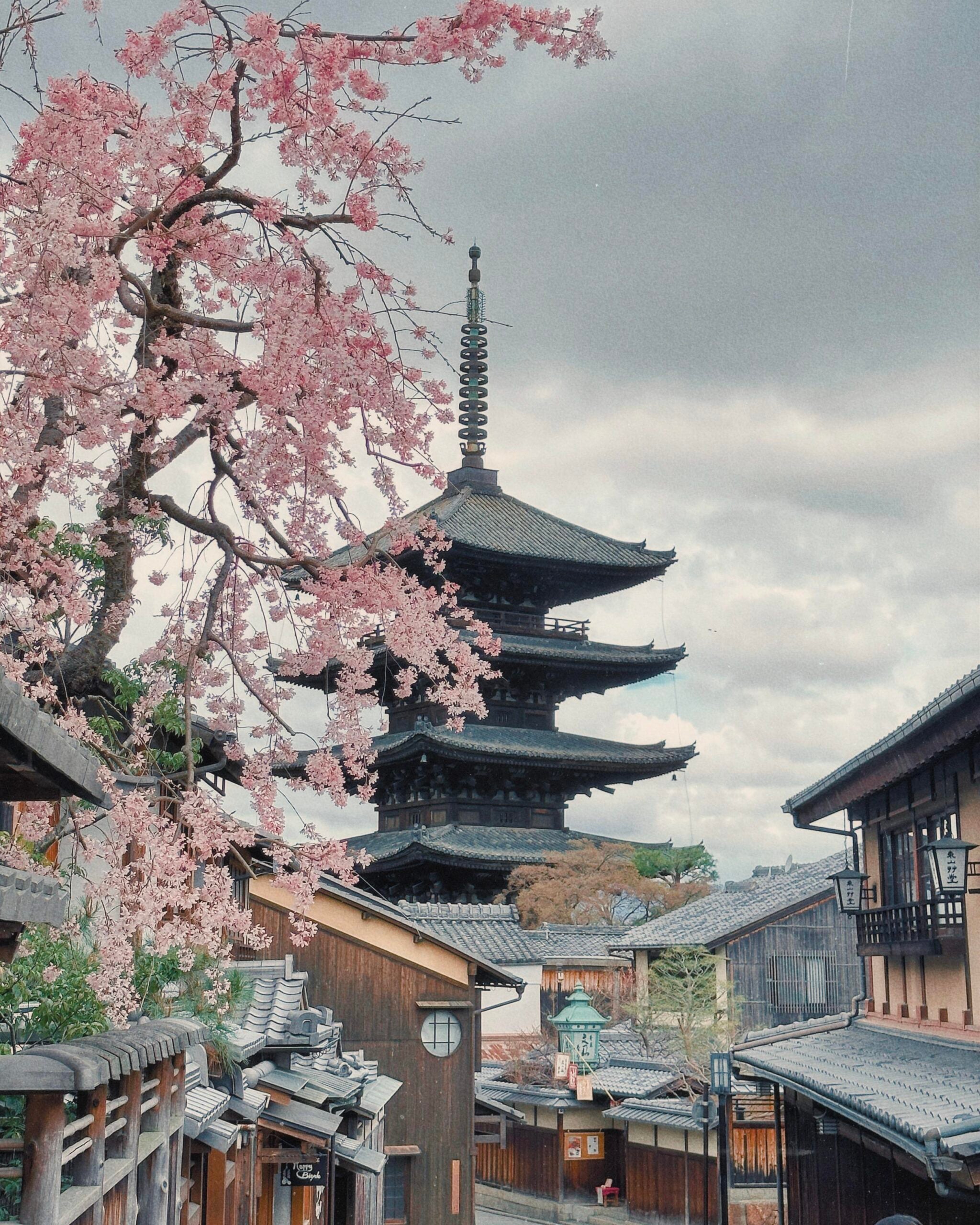 Traditional Japanese street with wooden buildings, cherry blossoms in bloom, and a tall pagoda rising in the background under a cloudy sky.