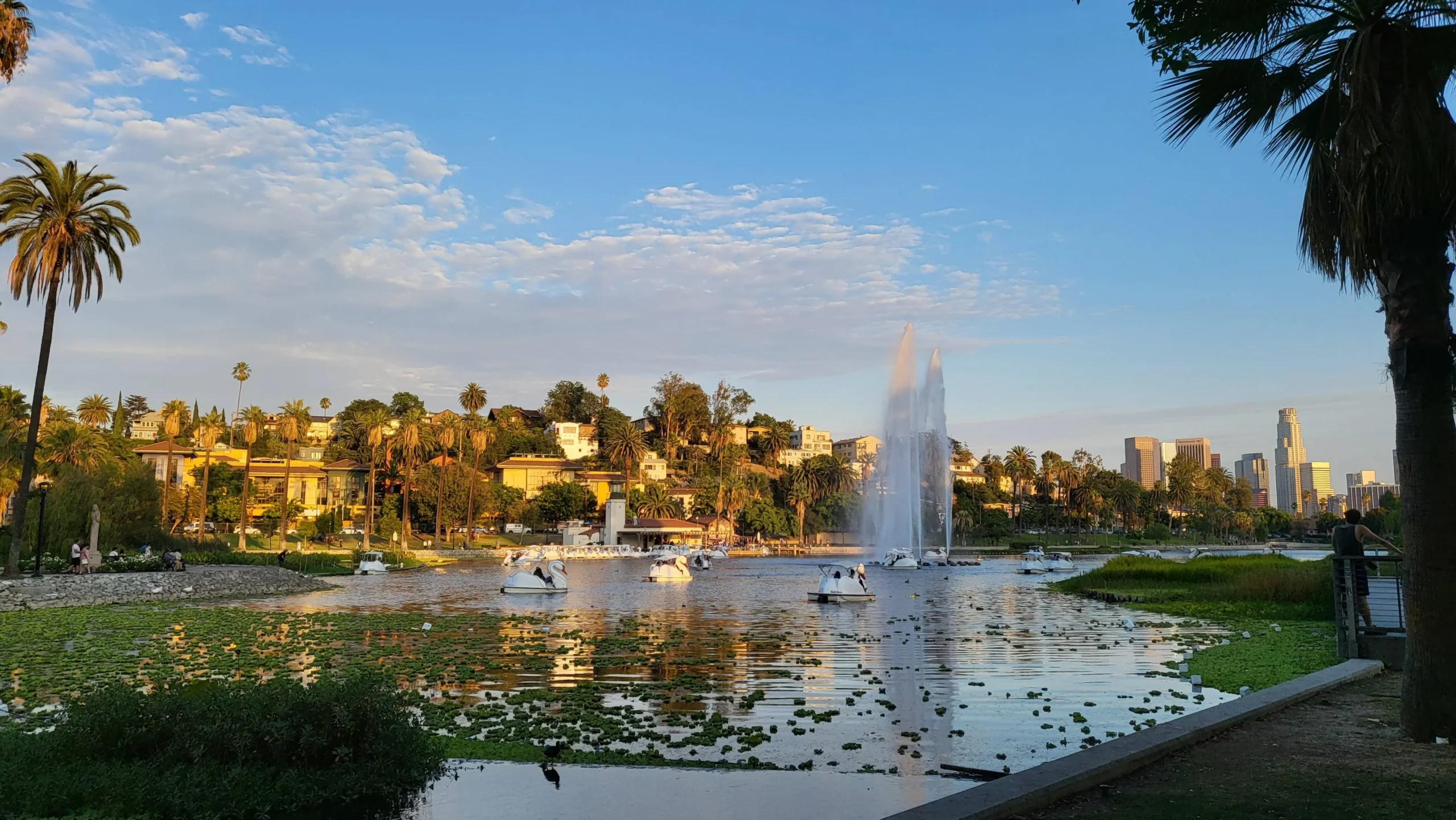 A scenic lake with paddle boats and a tall central fountain, surrounded by greenery and palm trees. Houses sit on a hillside under a blue sky, with city buildings visible in the background.