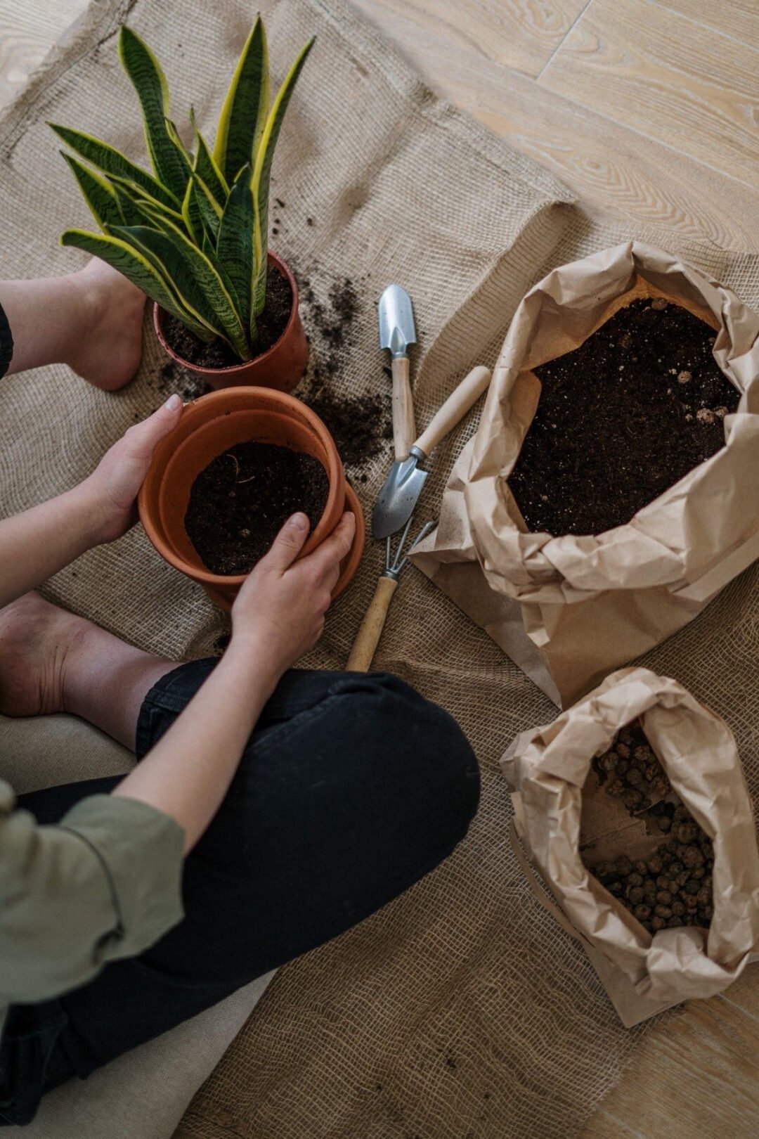A person sits on a burlap cloth, holding an empty terracotta pot with a potted snake plant nearby. Soil, gardening tools, and bags of potting mix are spread out on the floor.