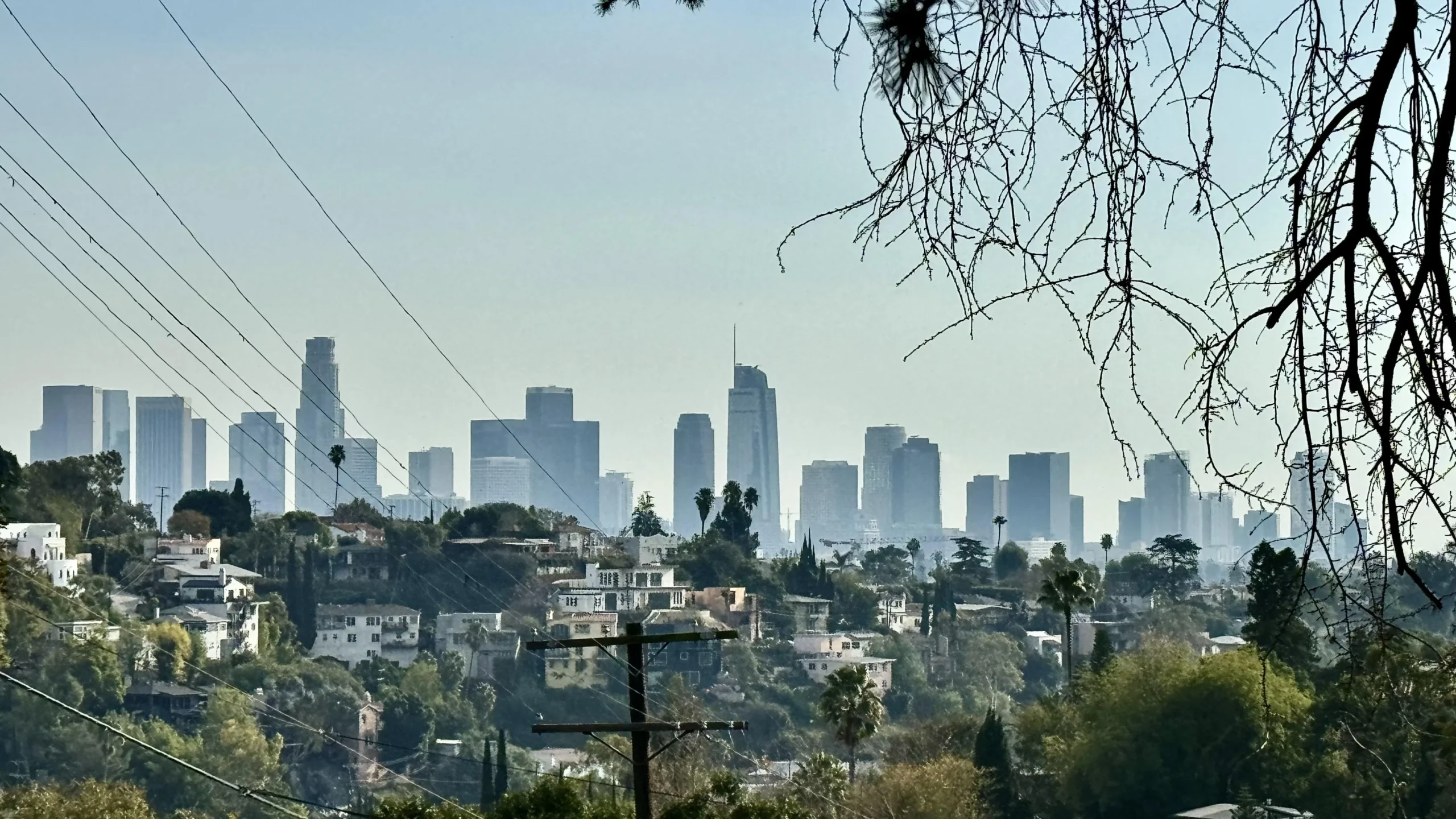 A hazy view of a city skyline with tall skyscrapers in the distance, houses and greenery in the foreground, power lines, and tree branches framing the scene.
