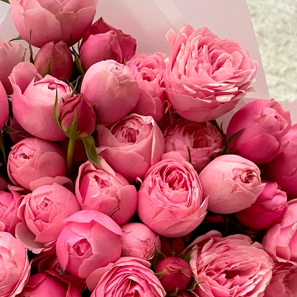 A close-up of a bouquet of pink peonies and rosebuds, displaying various shades of pink with soft, delicate petals and some blooms still in bud form.