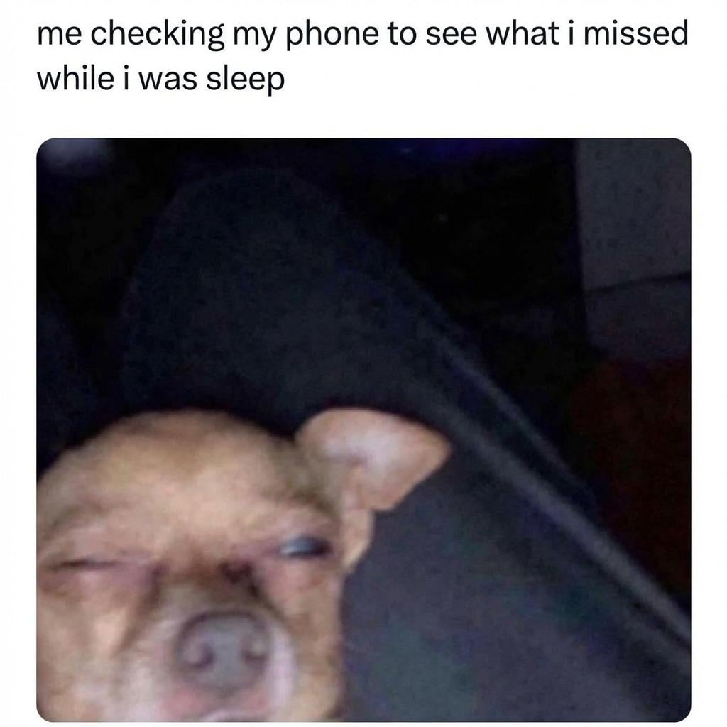 A blurry photo of a sleepy dog squinting with one eye half open, paired with the caption: "me checking my phone to see what I missed while I was sleep.