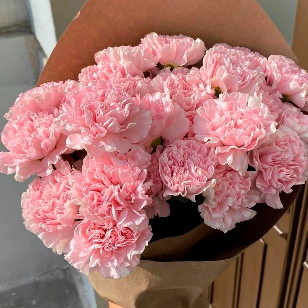 A bouquet of light pink carnations with ruffled petals, wrapped in brown paper and held upright near a doorway.