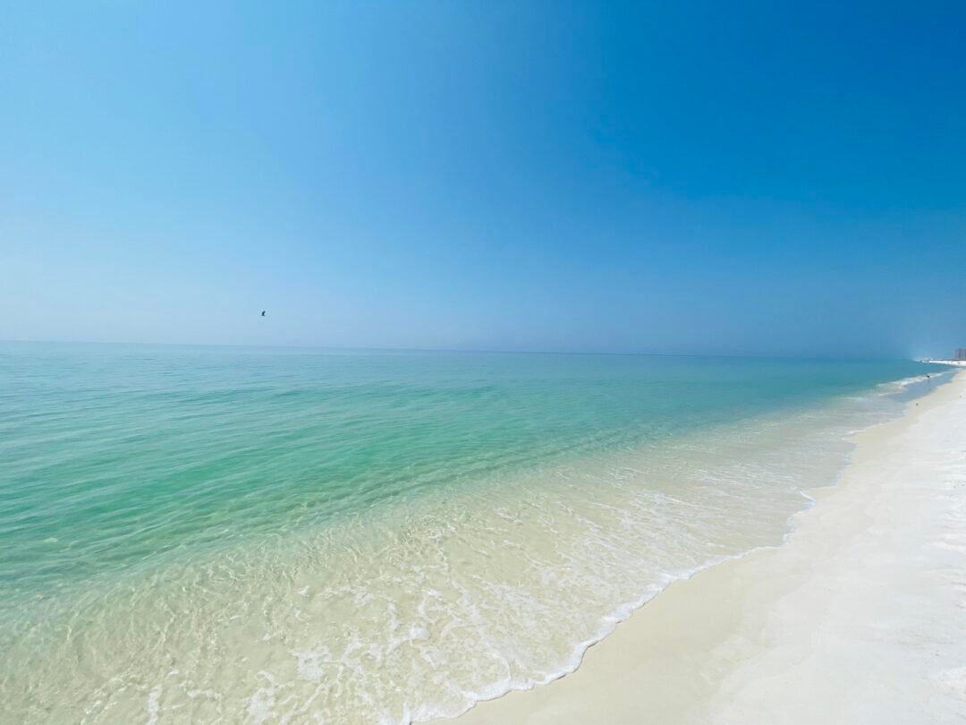 Clear blue sky above a calm turquoise ocean with gentle waves washing onto a white sandy beach; a single bird is flying in the distance.
