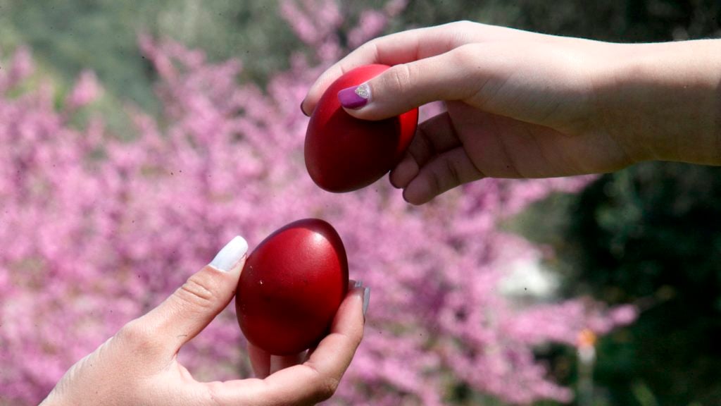 Two hands holding red eggs are about to tap them together, with a blurred background of pink flowering trees. The nails on one hand are painted white and the other’s are purple.
