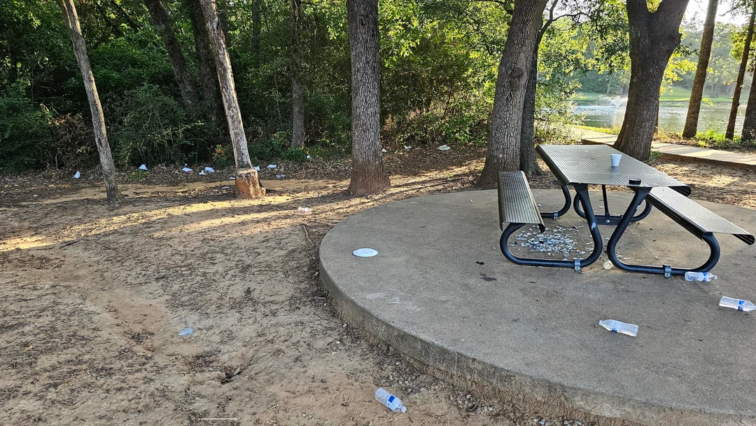 A picnic area near trees and a lake with an empty table and bench. Pieces of litter, including paper plates and cups, are scattered on the ground and on the table. Sunlight filters through the trees.
