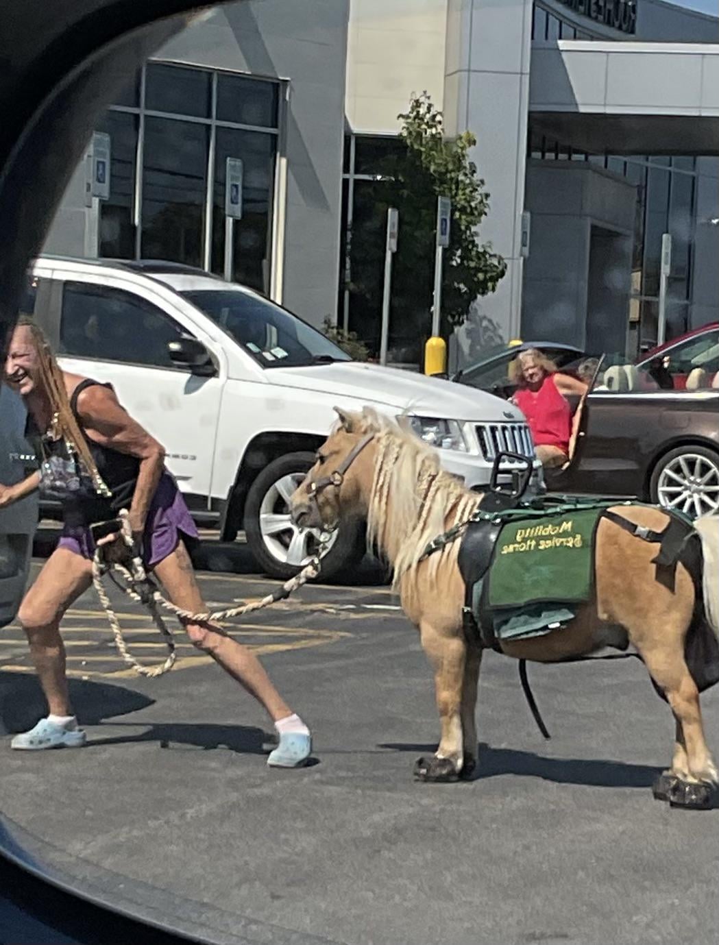 A woman in shorts and a tank top leads a small service horse wearing a green vest through a parking lot, with cars and another person visible in the background.