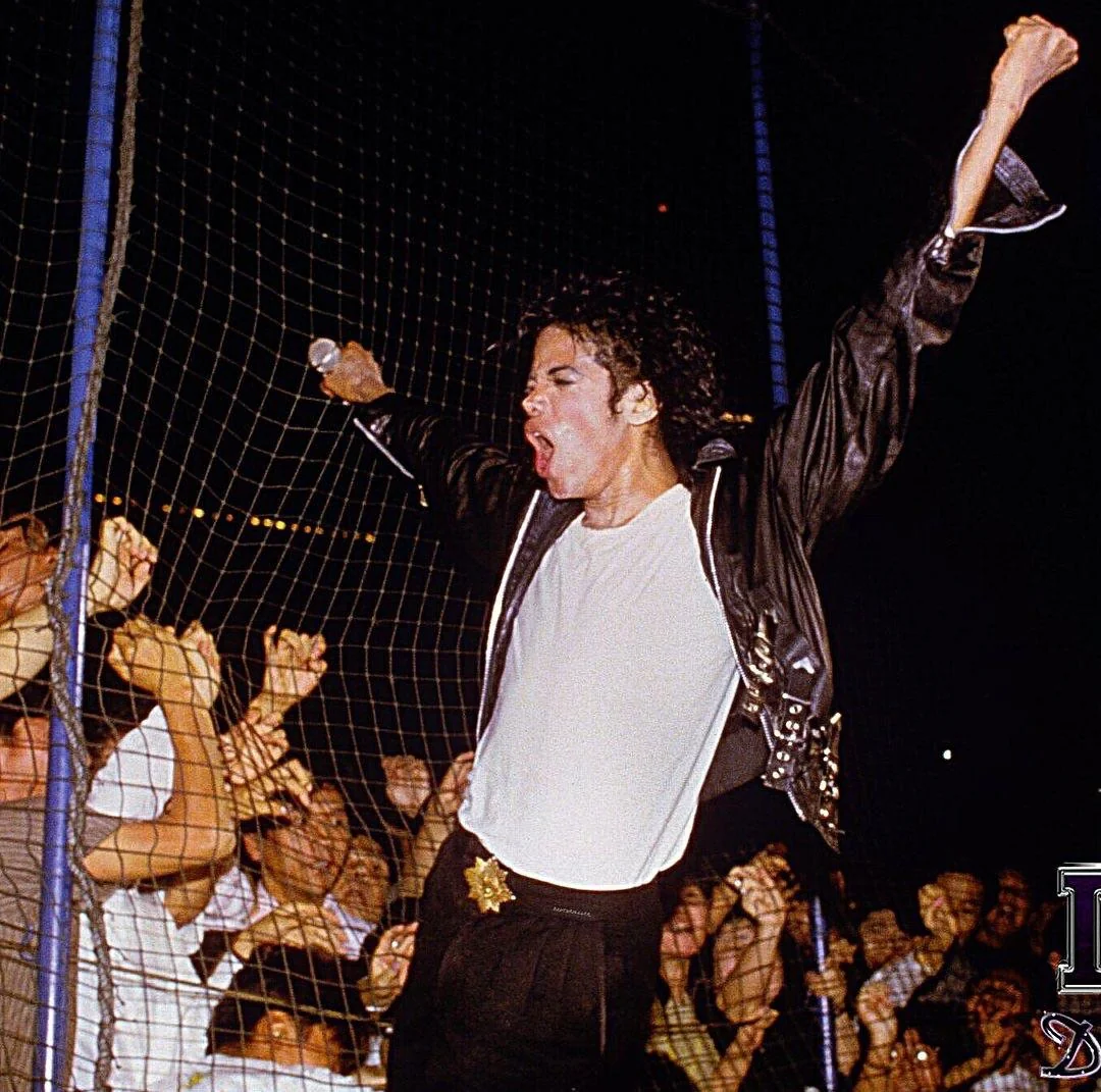 A performer in a black jacket and white shirt raises one arm while singing passionately on stage, holding a microphone, with an enthusiastic crowd cheering behind a barrier.