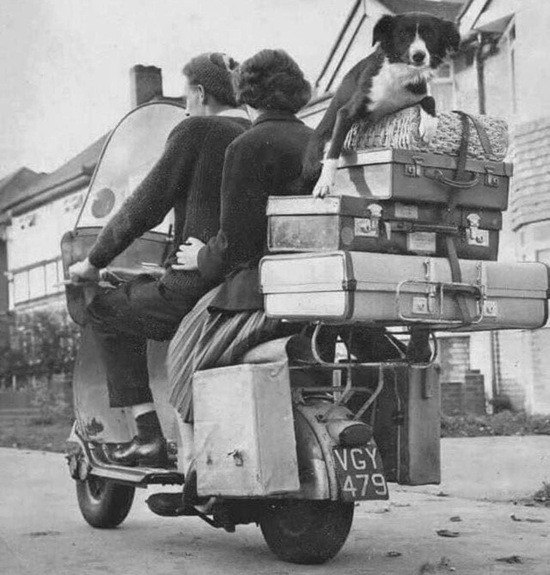 A black and white photo shows a couple riding a loaded scooter. Several suitcases are stacked on the back, with a border collie dog sitting on top. Houses and a sidewalk are visible in the background.