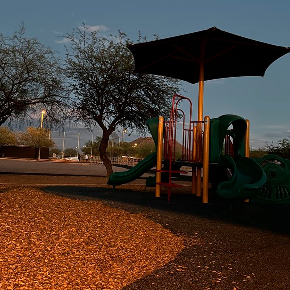 A deserted playground at dusk features a green and yellow play structure with slides and an overhead canopy, surrounded by wood chips and trees under a darkening sky.