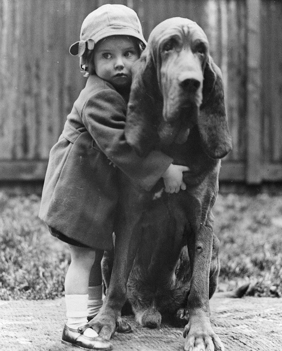 A young child in a coat and hat hugs a large, calm dog outside on a sidewalk. The child looks to the side while the dog sits quietly, and a wooden fence is visible in the background.