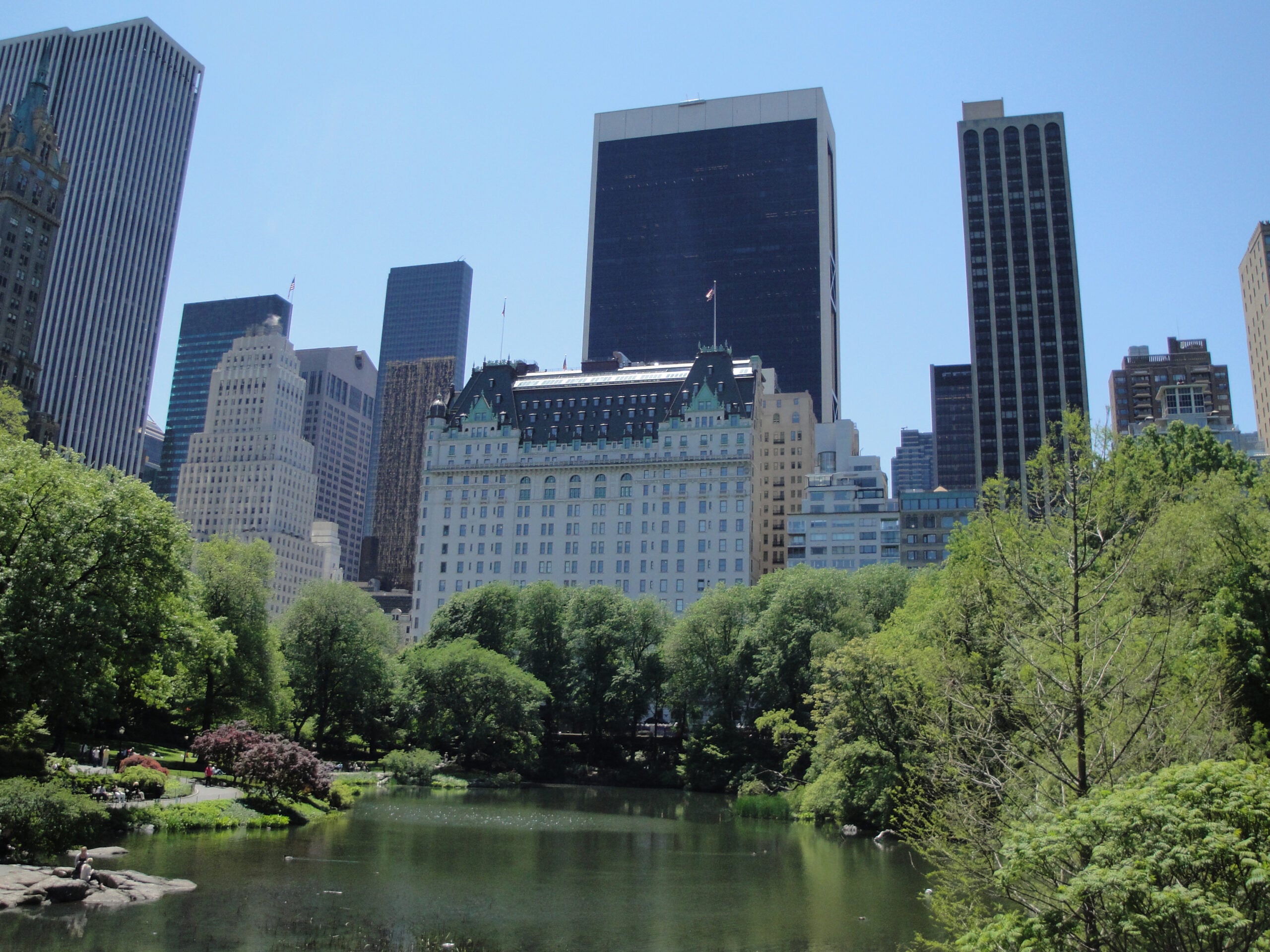 A view of tall buildings behind lush green trees and a pond in Central Park, New York City, on a clear, sunny day.