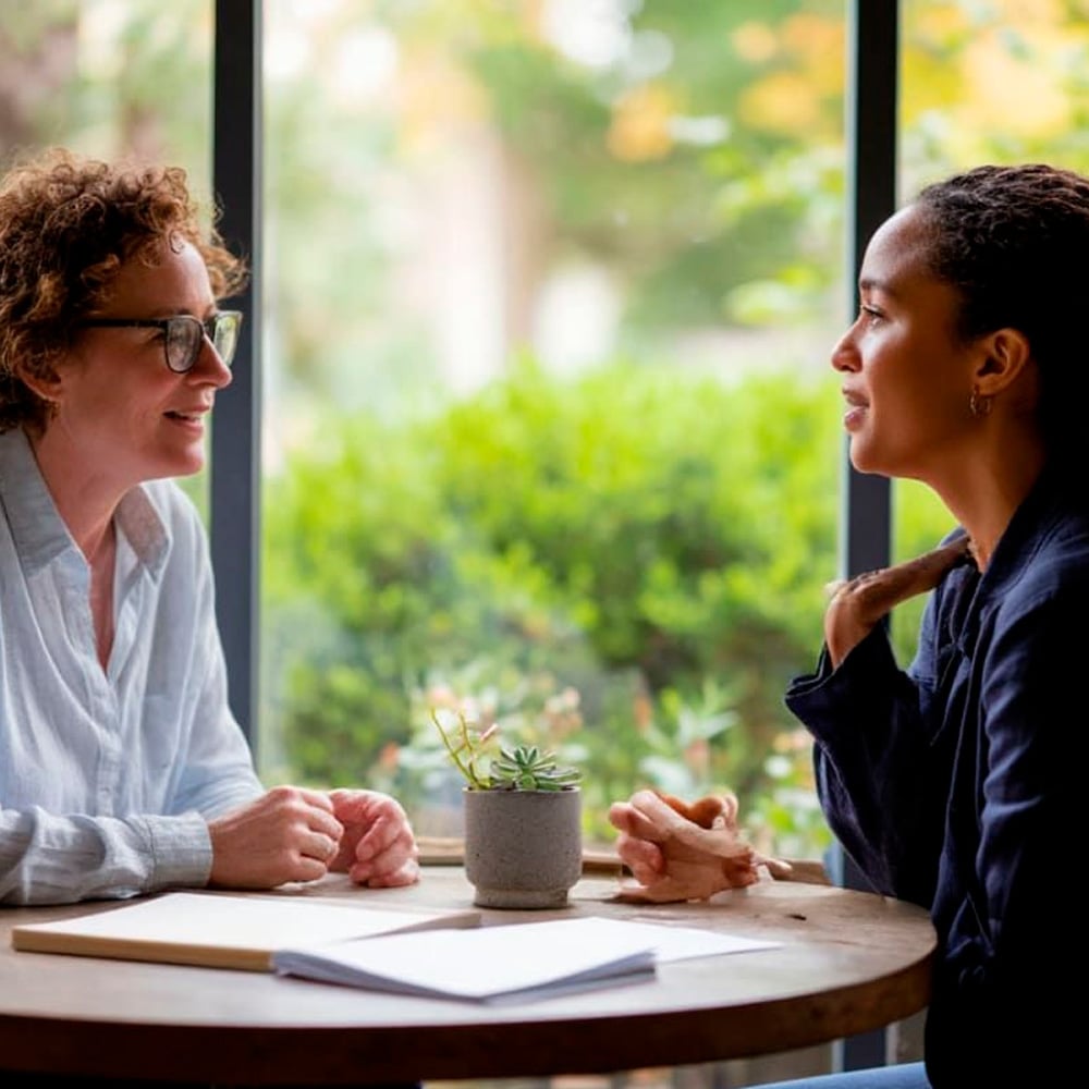 Two women sit at a round table by a window, engaged in conversation. One woman gestures with her hand while the other listens attentively. Papers and a small potted plant are on the table. Greenery is visible outside.