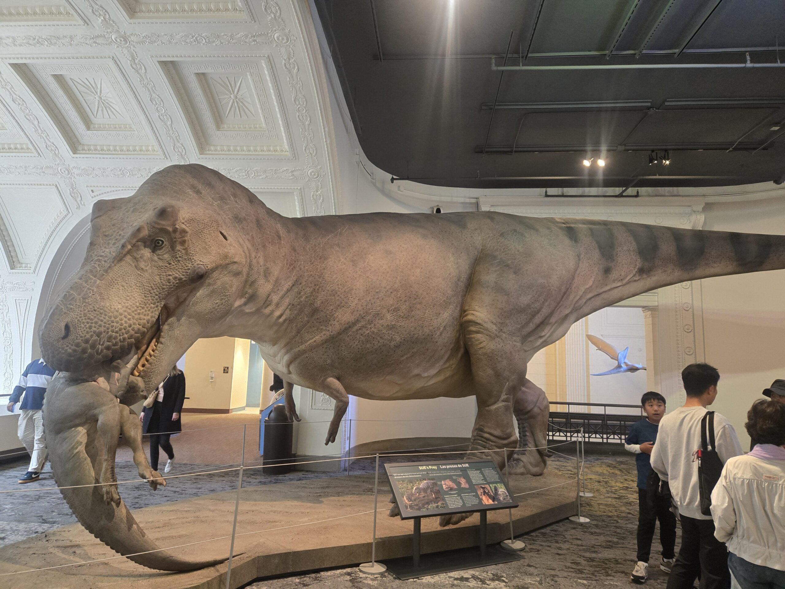 A life-sized Tyrannosaurus rex model in a museum exhibit holds a smaller dinosaur in its mouth, surrounded by informational displays and visitors observing the scene.