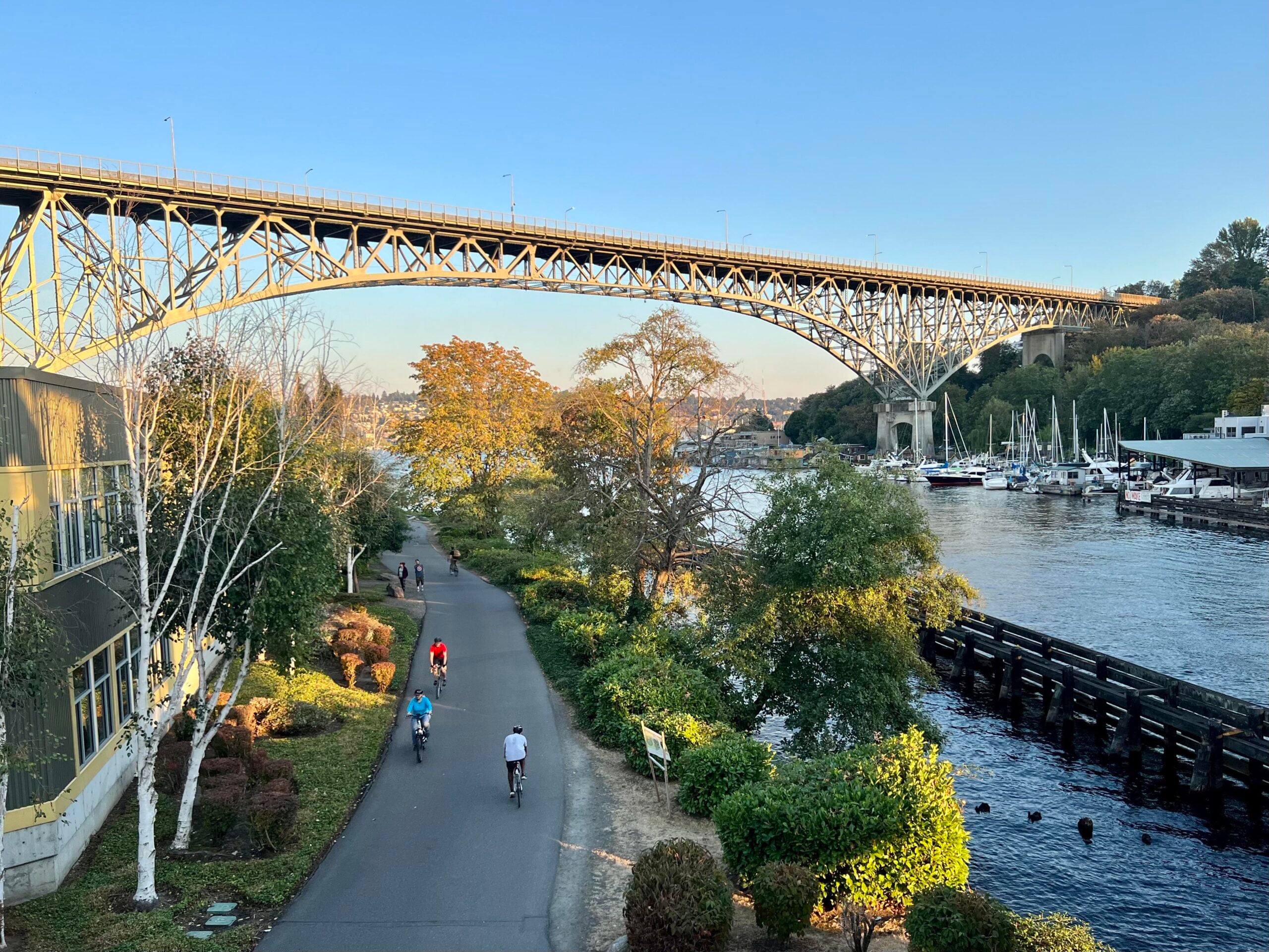 A riverside path lined with trees, people cycling and walking, with a large steel bridge above and boats docked along the water on the right under a clear blue sky.