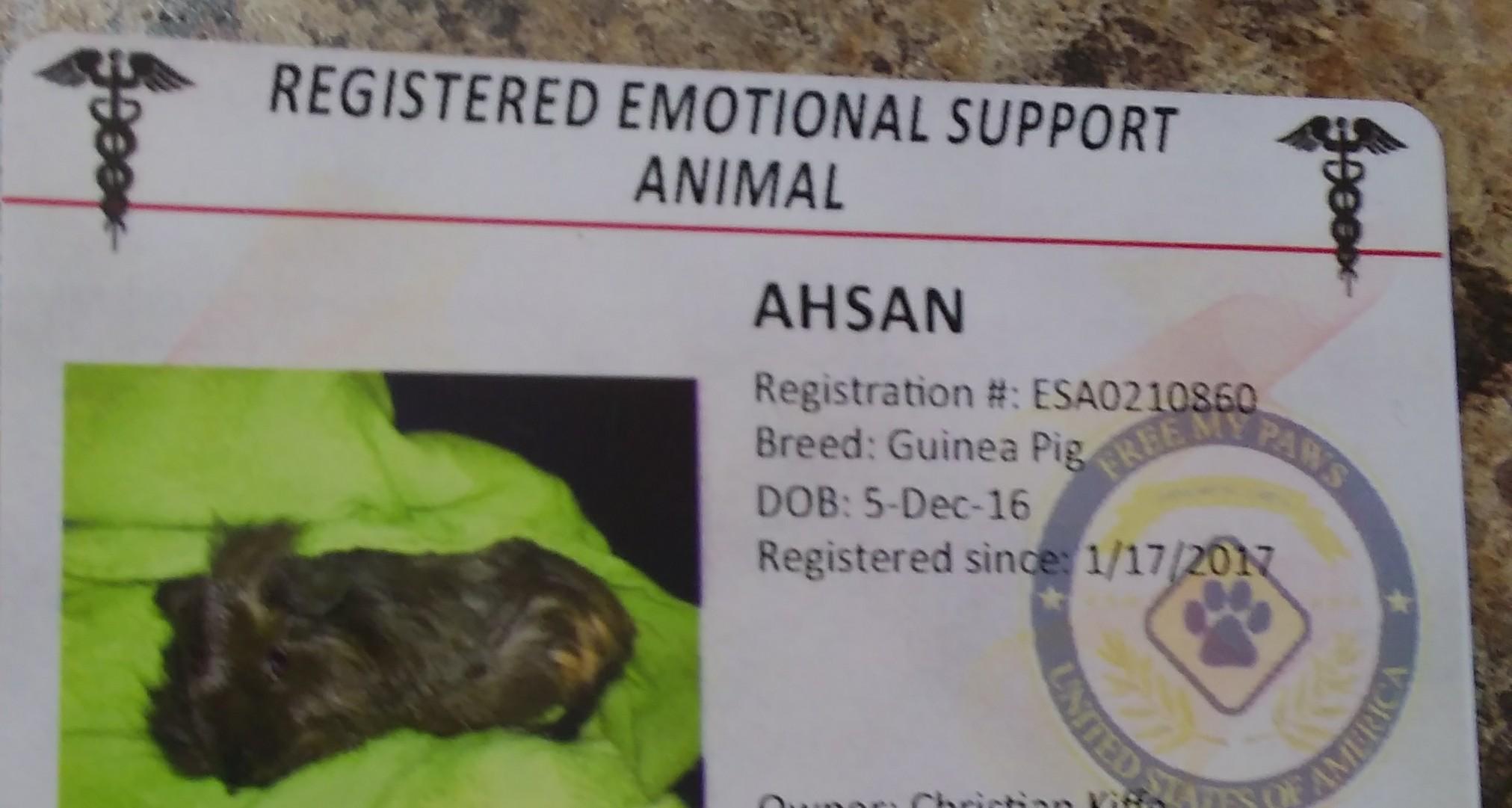 A registration card for an emotional support animal named Ahsan, a guinea pig. The card includes a photo of the guinea pig lying on a green blanket and displays its registration number and breed details.