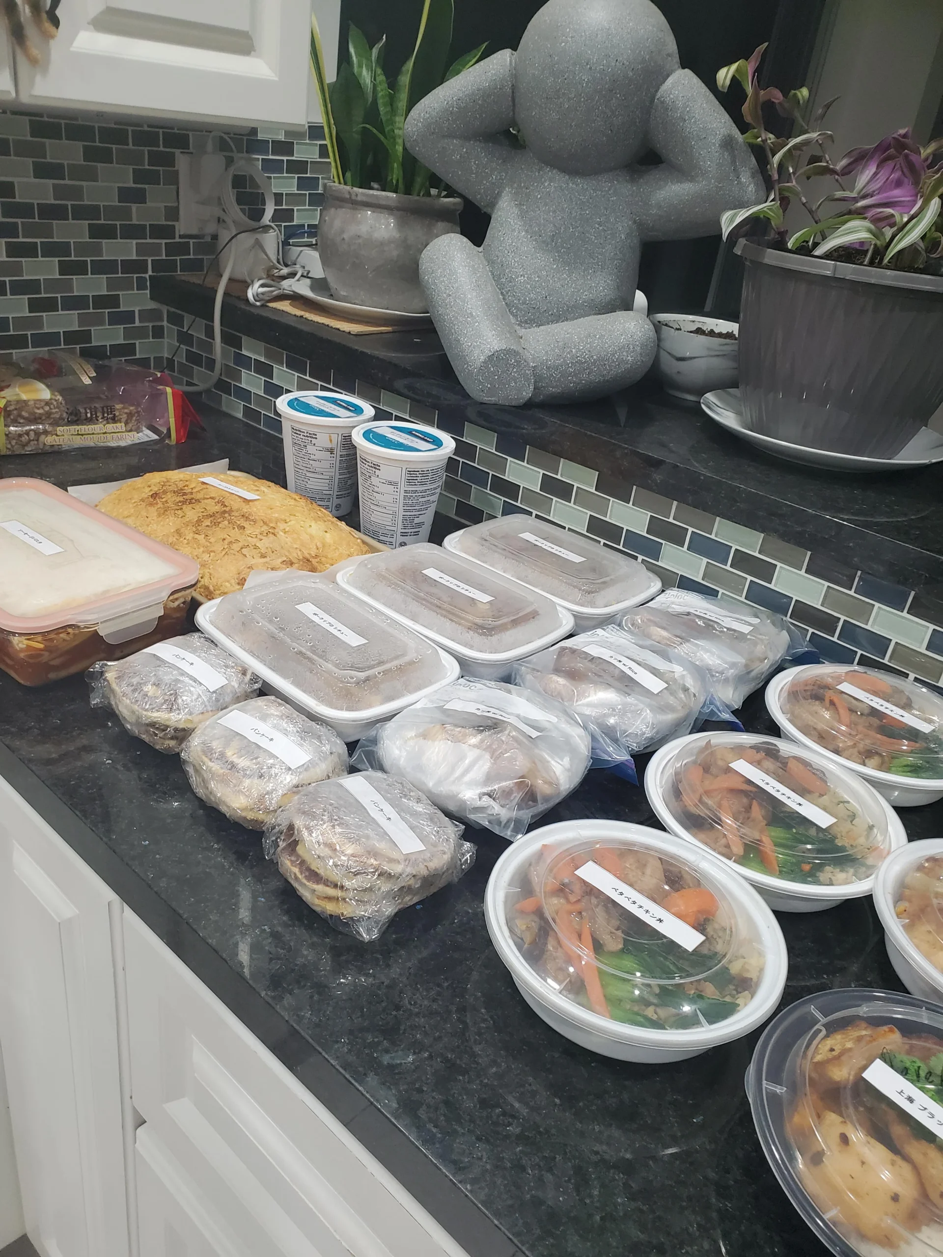 Multiple containers of prepared food are neatly arranged on a kitchen counter, alongside two tubs of yogurt. A gray sculpted figure and potted plants are in the background near a tiled backsplash.
