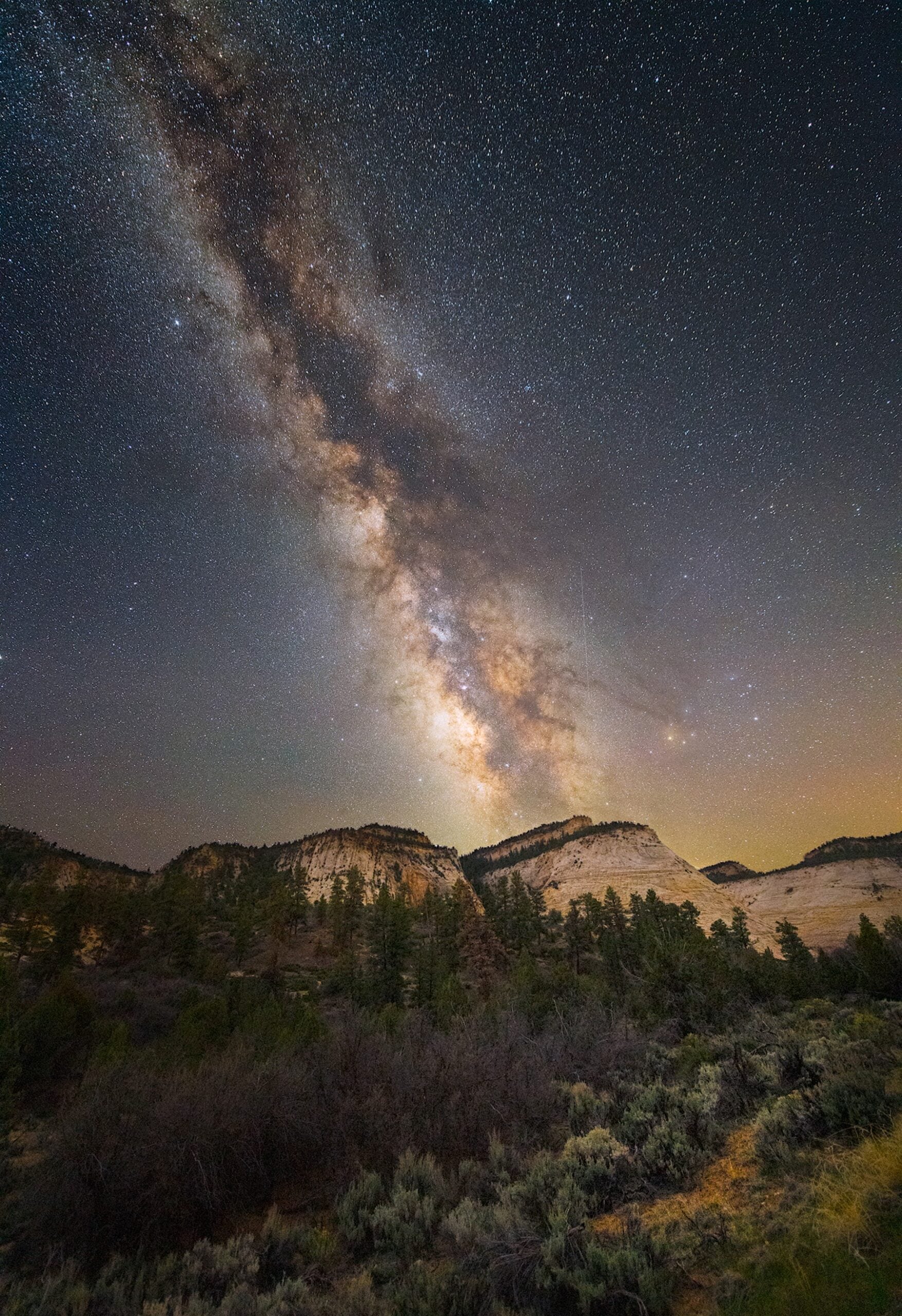 A bright, star-filled Milky Way stretches vertically across the night sky above dark silhouettes of mountains, pine trees, and shrubs in a rugged landscape.