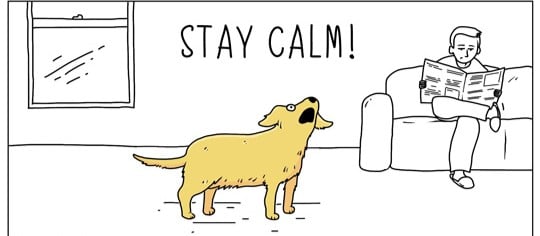 A yellow dog is barking with its head up in a living room. A person sits on a couch reading a newspaper. The words "STAY CALM!" are written above the dog.