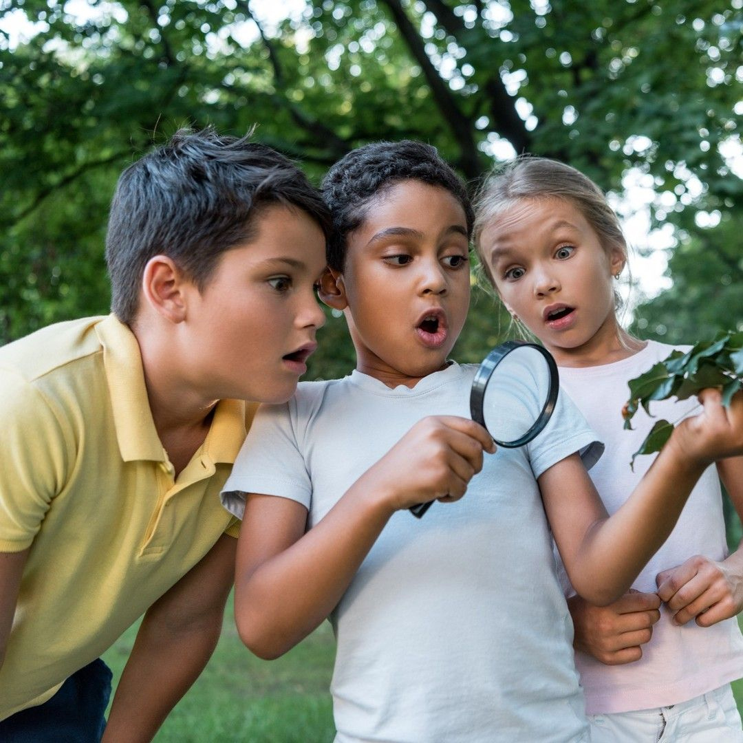 Three children outdoors look surprised while examining leaves with a magnifying glass. They are closely grouped together, with trees and greenery in the background.