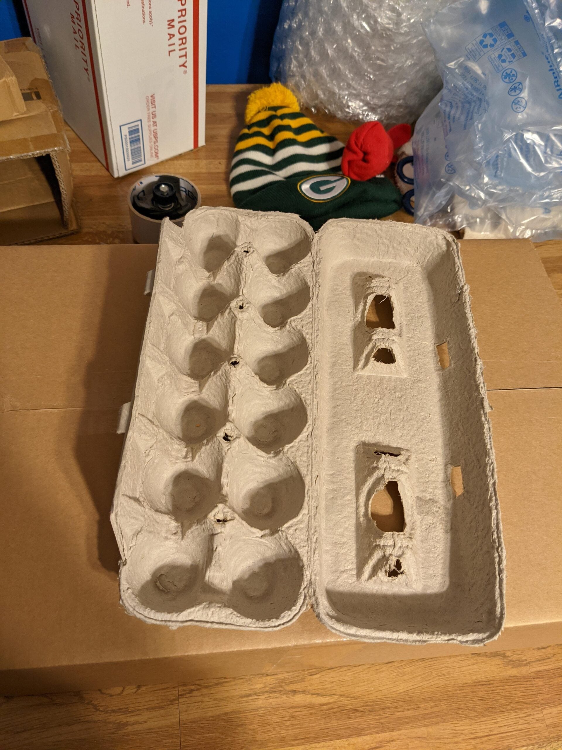 An open, empty egg carton sits on a cardboard box. In the background are packing materials, a bubble mailer, a can, and a green and yellow knit hat with a "G" logo and a red pom-pom.