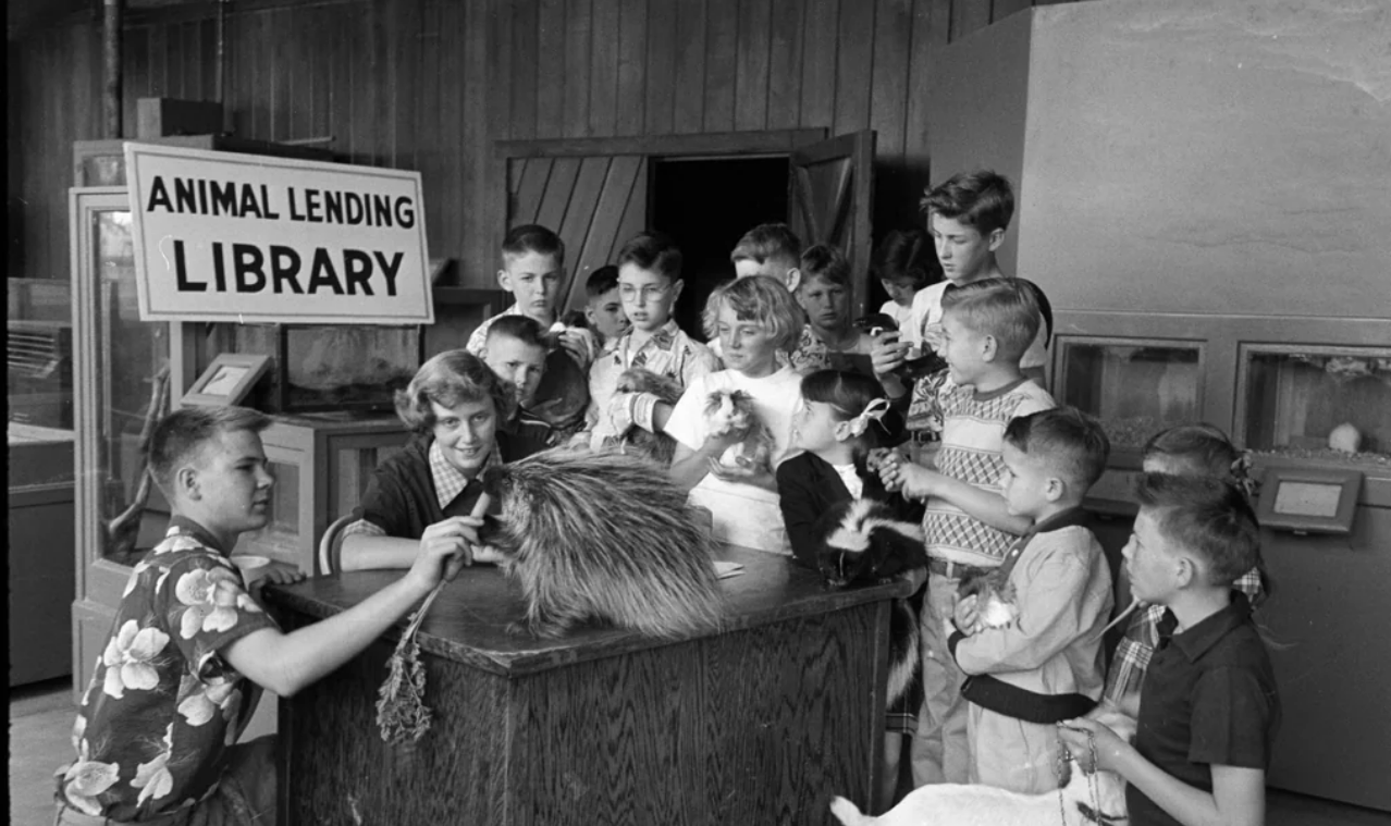 A group of children gathers around a desk labeled "Animal Lending Library," where a woman shows them various animals, including a porcupine and a rabbit, inside a wooden-paneled room.