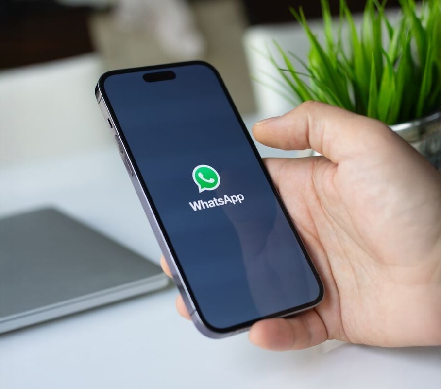A hand holding a smartphone displaying the WhatsApp logo on the screen, with a blurred background featuring a green plant and part of a laptop.