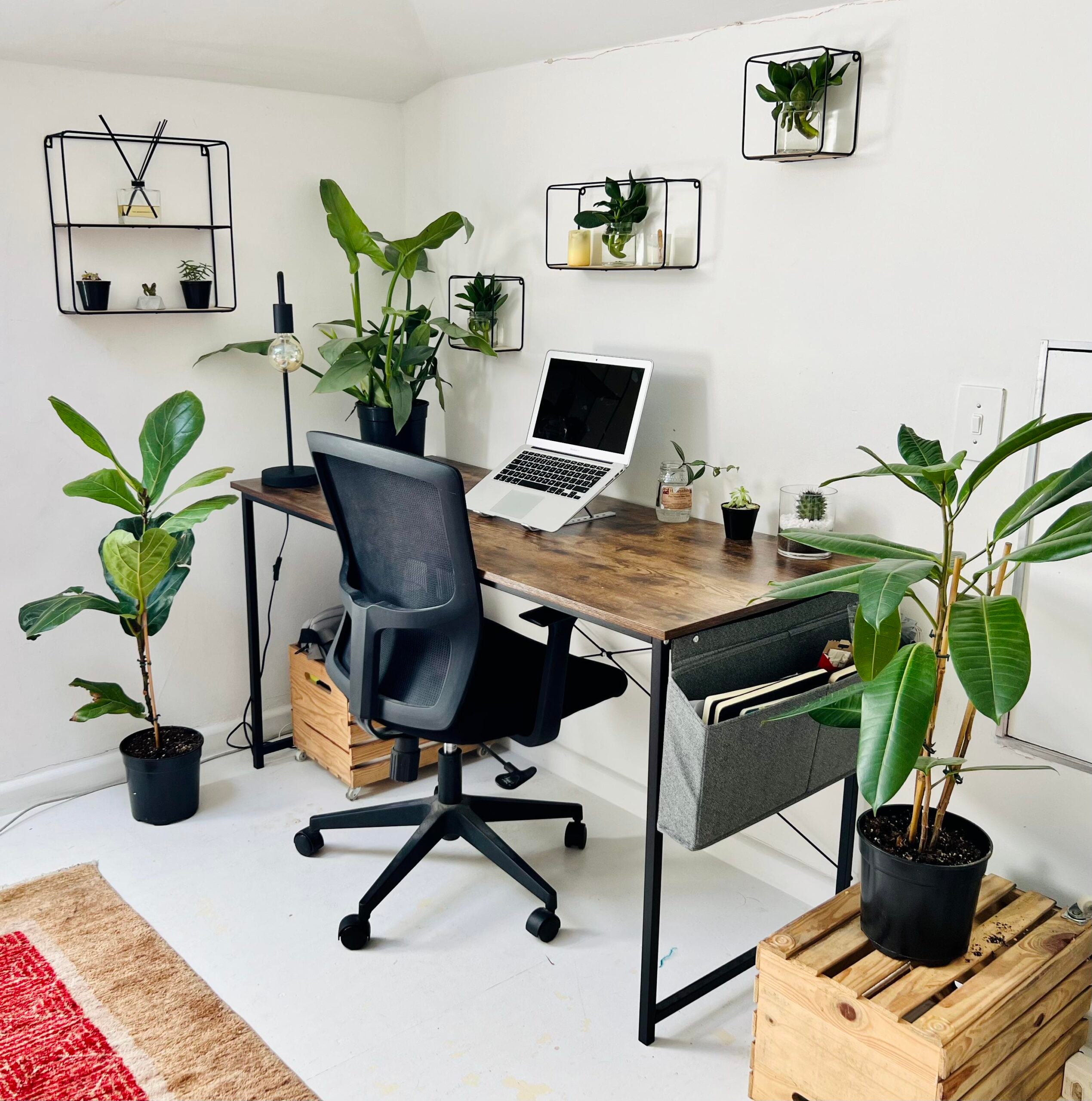 A modern home office with a wooden desk, black chair, laptop, and desk lamp, surrounded by potted plants. Shelves on the wall hold more plants and a clock. Wooden crates and a red rug are on the floor.