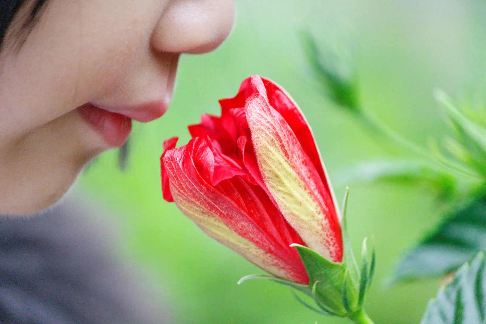 Close-up of a person’s face gently leaning in to smell a partially closed red flower, with a green blurred background.