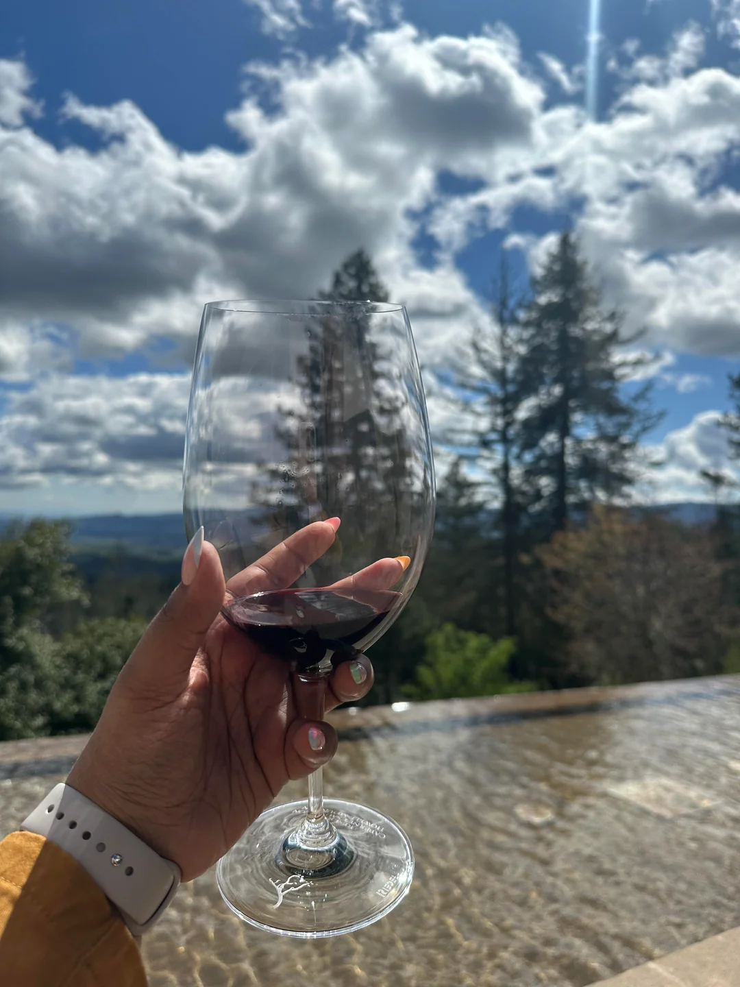 A hand holding a glass of red wine is raised against a scenic outdoor backdrop of tall trees, a reflective water surface, and a partly cloudy sky with sunlight breaking through.