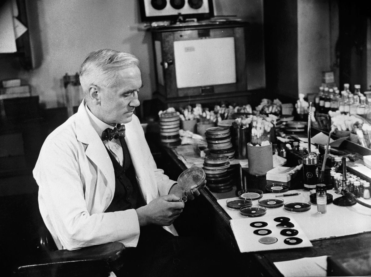 A scientist in a lab coat sits at a cluttered desk examining a petri dish, surrounded by more petri dishes, lab equipment, and bottles.