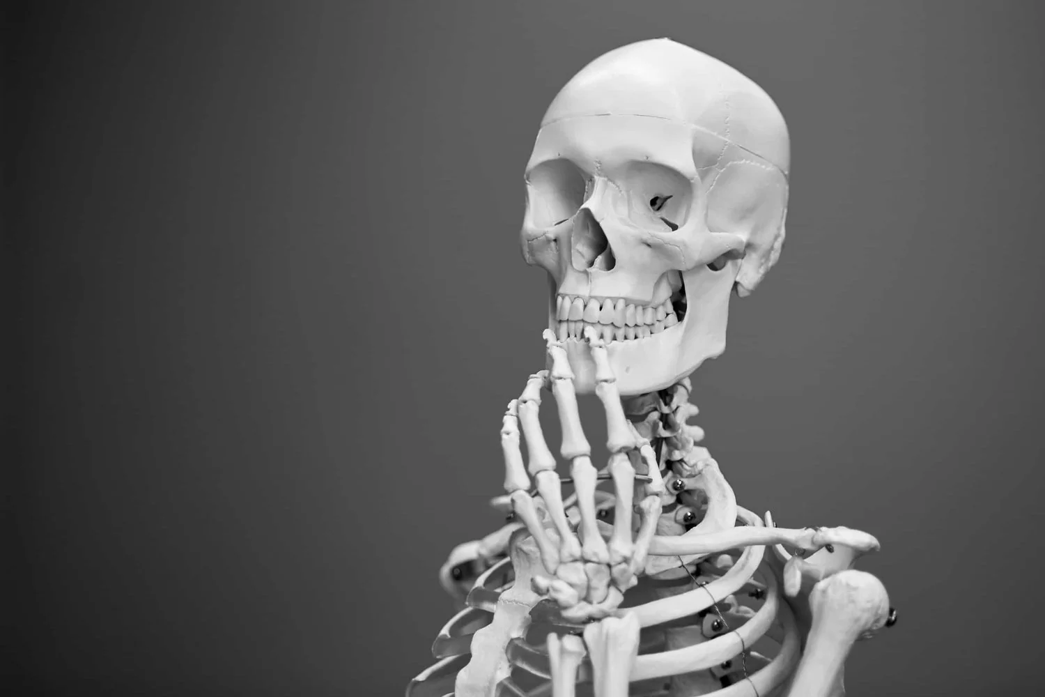 A human skeleton model with its right hand resting on its chin, appearing to be in a thoughtful pose, set against a plain gray background.