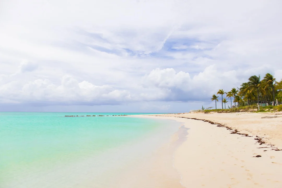 A tranquil tropical beach with soft white sand, turquoise water, gentle waves, scattered seaweed, and palm trees under a partly cloudy sky. The shoreline curves into the distance.