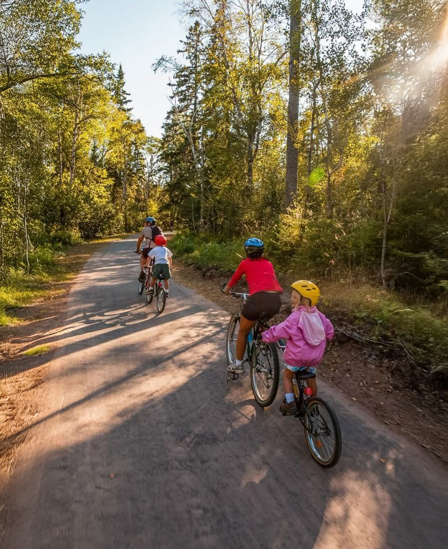 Four people, including two children and two adults, ride bicycles along a paved path through a sunlit forest, surrounded by tall trees and greenery on a clear day.